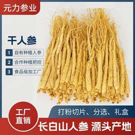 长白山人参干人参生晒参批发工厂定制打粉切片挑选等传统参茸红参