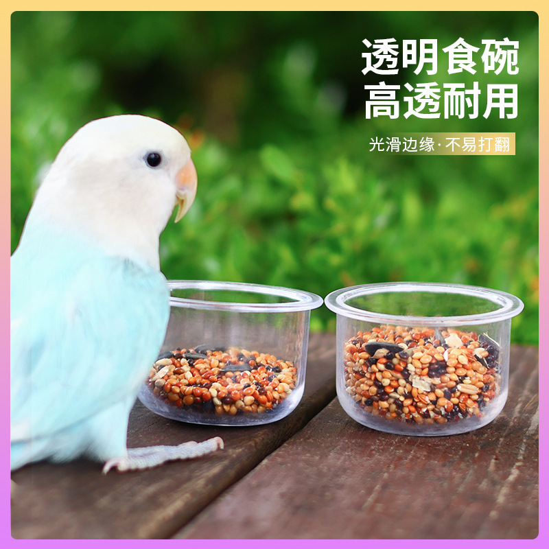 オウムの餌箱、クリスタルバブルハンギングボウル、牡丹の餌箱、餌箱、餌カップ、持ち帰り用固定餌箱、給水箱卸売|undefined