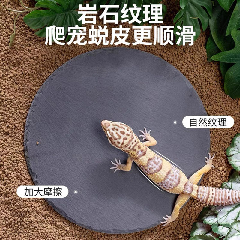 Reptiles terraza de descanso tortuga molino de uñas pizarra pizarra pet board decoración de acuario paisaje