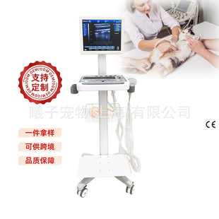 Factory Direct Sales Veterinary B-Type Cart Ultrasound Diagnostic Equipment Animal B-Ultrasound Fetal Heart Sound Pet B-Ultrasound Machine Cross-Border