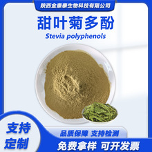 甜叶菊多酚40%甜叶菊提取物甜叶菊粉新食品原料Steviapolyphenols