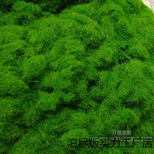 ����ɳ�P�ֹ�DIY�����ƺ��̦���쾰�h���Gë�ۼ�ɽ�b�̦�\�ɲ�