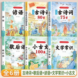 小学语文基础知识积累 全6册 小学1-6年级文学常识歇后语课外阅读
