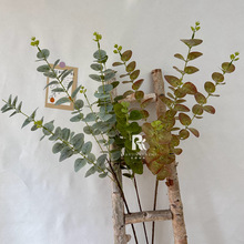 婚庆仿真花3D尤加利假叶子胶片金钱叶绿植家居婚礼插花艺装饰摆设