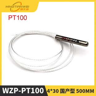 WZP-PT100 4*30 ���a�� 500MM �K���о ����� ̽�^�����