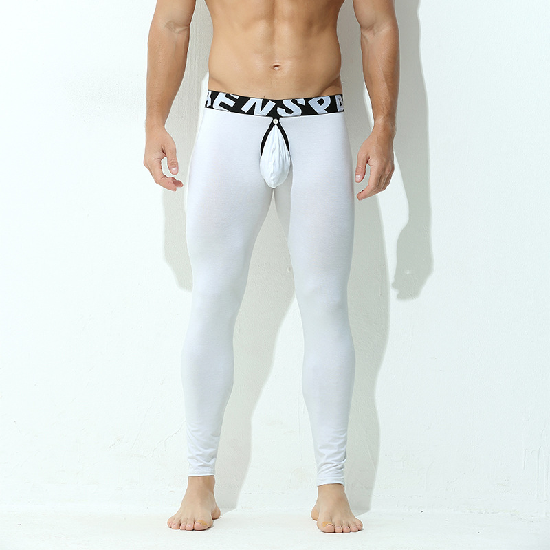 Briefs