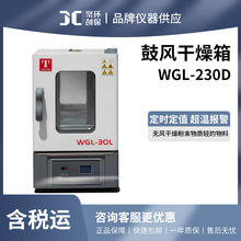 天津泰斯特鼓风干燥箱实验室恒温箱烘箱电热恒温含税含运WGL-230D