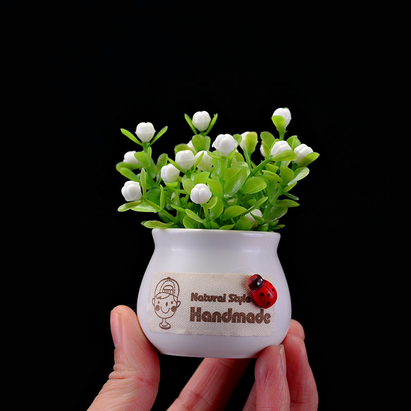 Decoración de coche, planta, fruta de la suerte, planta en maceta, asiento de perfume para coche, cerámica de aromaterapia, personalidad, interior de flores creativas