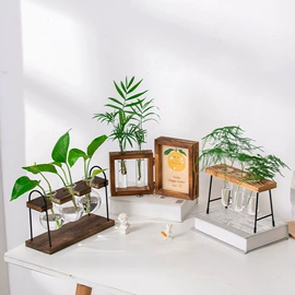 玻璃工艺品;装饰花瓶;水培植物瓶