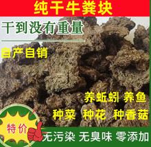 纯干牛粪块天然发酵农家有机肥种花种菜家庭园艺肥牛屎牛粪饼底肥