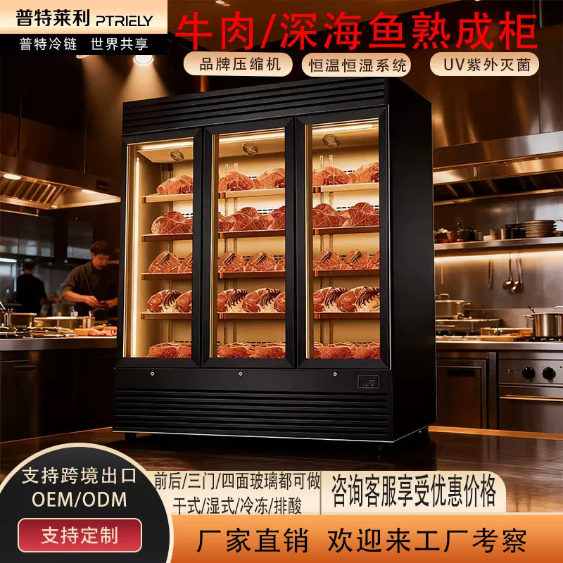 刺身深海鱼熟成柜牛肉牛排干湿式两用熟成排酸柜双门熟成冰箱冰柜