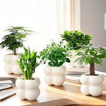 ���W�Gֲins녶����k���ҿ͏d��������[�����s����W�t����ֲ��