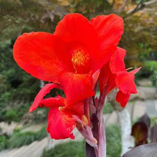 ˽玧ѿֲ̨ͥԺ׻ܷNN