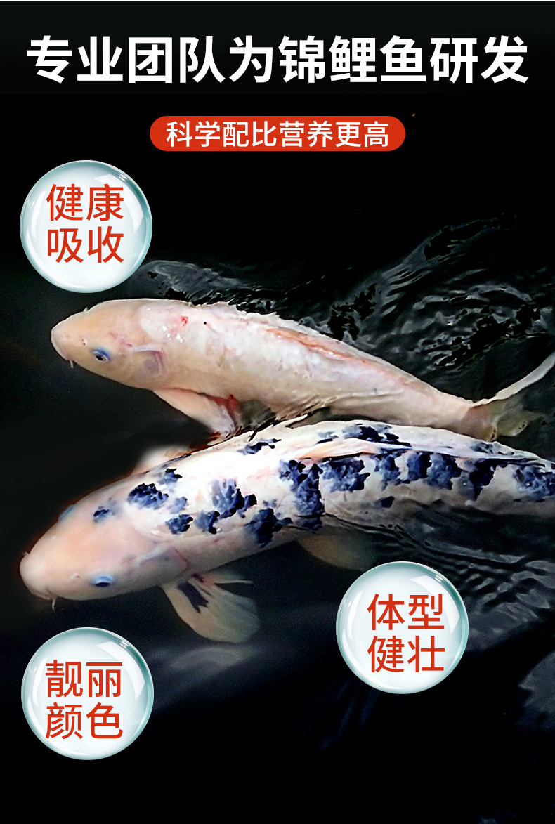 锦鲤饲料_04.jpg