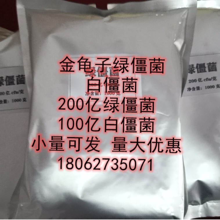 湖北 现货  绿僵菌  白僵菌 农用微生物菌剂 100亿 小量可发