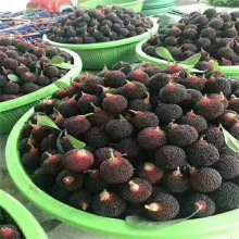 ڸ߷÷ ޽Ӗ|÷ ϱNֲ箔Y