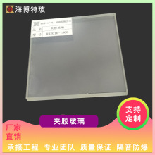 广州玻璃厂家定制 夹胶玻璃 大板形象墙中空钢化玻璃隔断艺术网板