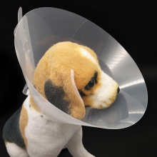 ���l��������ɯ��Ȧ�������o���t�����g���^�׷�ץ����؈�^��6