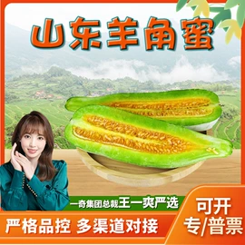 代用/养生茶;苹果;花果茶