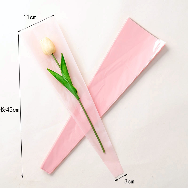 솔리드 핑크, 약 50 장의 사진