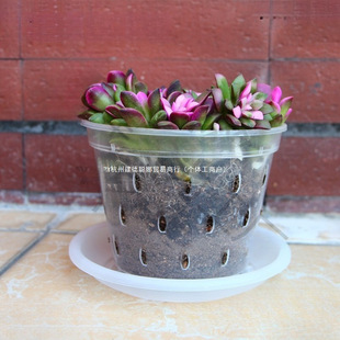 �U��͸�����c�m��������m��ȫ���ϸ��|��͸���B���Nֲ������