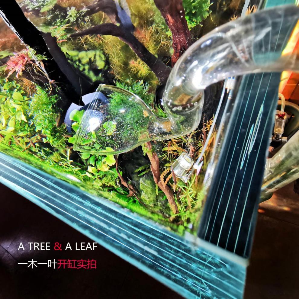 8a843879-49a1-4035-8271-04f5ca6ed3b8.jpe