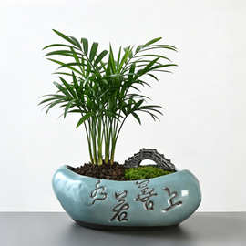 仿古做旧陶瓷花盆厂家批发 盆景专用盆 杜鹃罗汉松蝴蝶兰绿植花盆