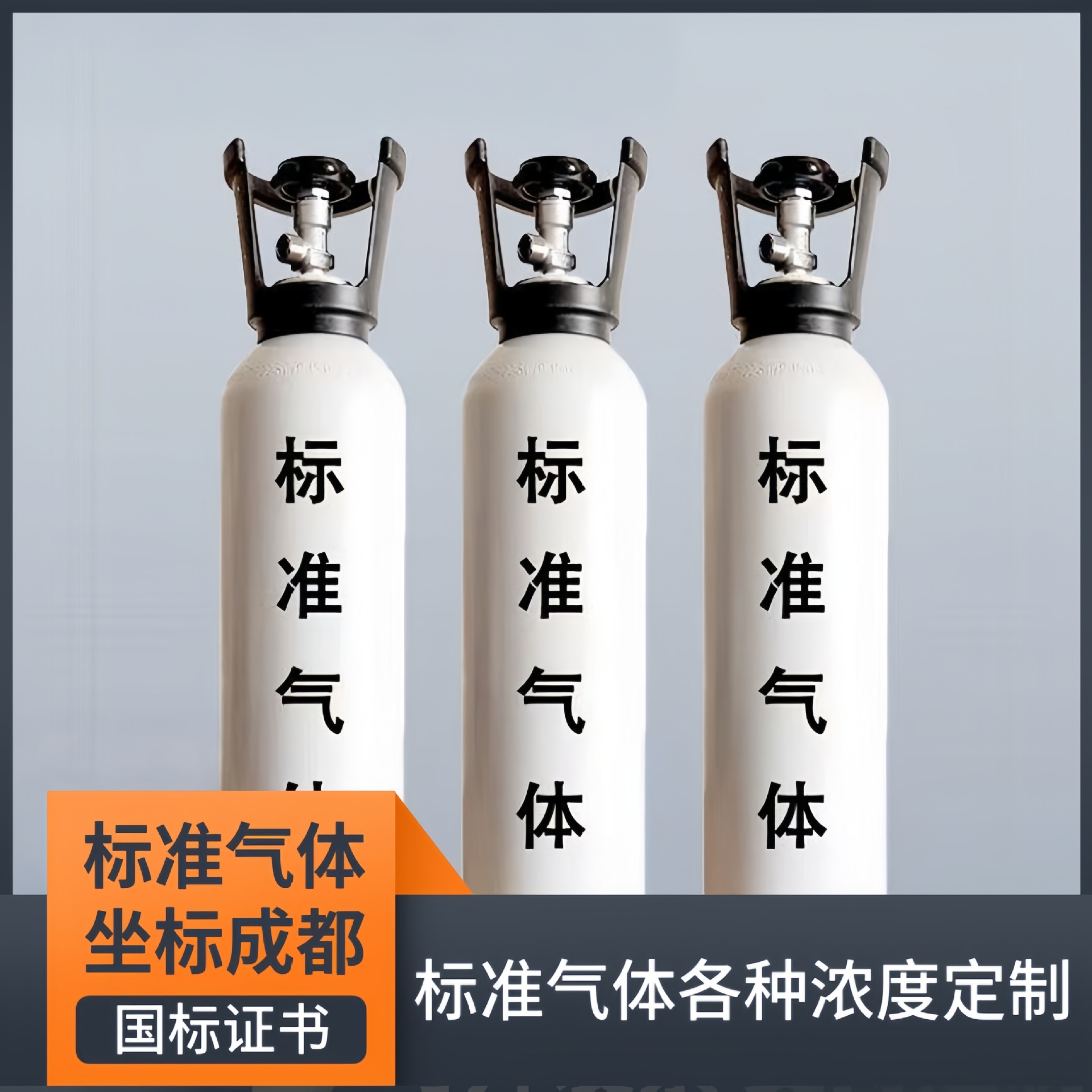 空气中甲烷丙烷正丁烷异丁烷标准气生产各浓度甲烷CH4便携式气瓶