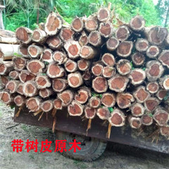 Wholesale Incense Cypress and Thuja Wood Hand-Carved Antique Craftsmanship Raw Material Core Material Cypress Original Log for Carving and Decorative Items