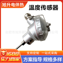 廠家定制伴熱帶專用測溫器防爆溫度傳感器熱電偶pt100溫控儀表