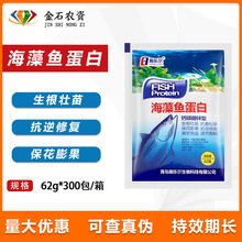 嫘��������~���� �}�V���\�����������{�����|��������~���62g