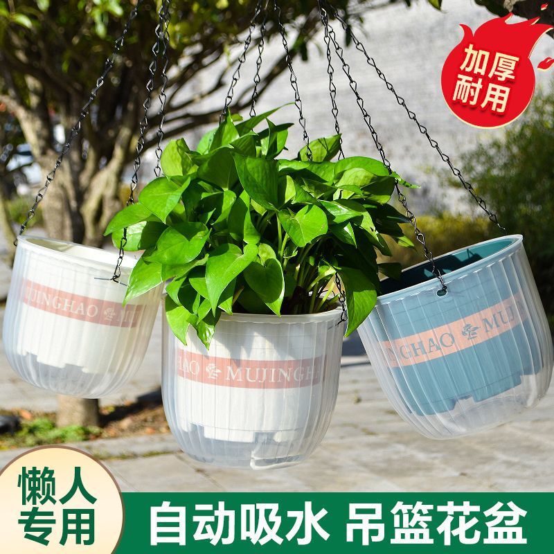 Hanging Orchid Pot, Hanging Plastic Transparent Basket, Lazy Water-Absorbing Wall-Mounted Green Radish Ivy Hanging Ball, Thickened