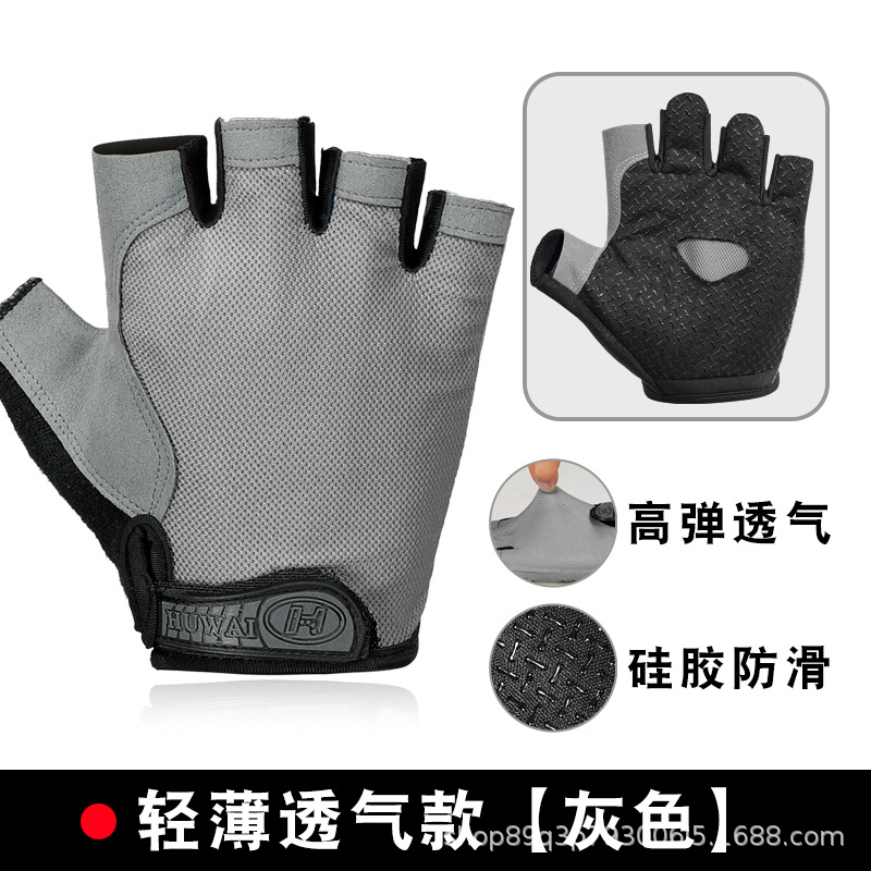 나비 그물 일반적인 반 손가락-회색