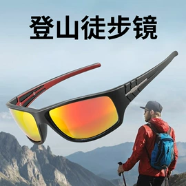 框架眼镜;太阳镜;老花镜