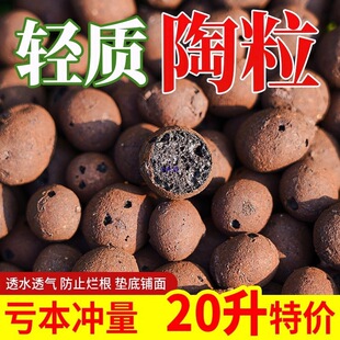 �@ˇ����20����]���|�׶���������͸��������l���g����������