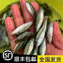 ��ˮ�Bֳʳ���|�~����w�|�~�~��