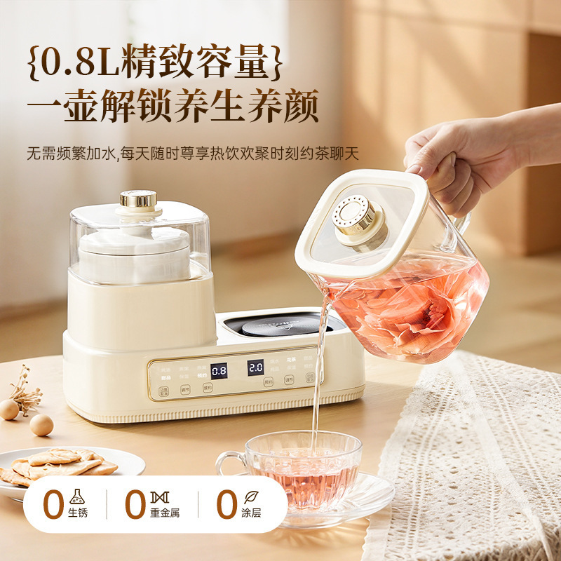 多功能全玻璃养生壶家用分体式煮茶壶小型煮茶器烧水壶恒温花茶壶|undefined