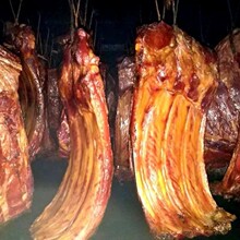 ���ڲ��Ѭ�D�ŹǴ�ζ�D���Ĵ��ؑc�خa��ɽ�r���D�����şo����