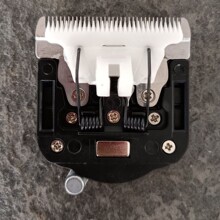 200W��55W�Lë�ütľ��Ƽ����^��ë�������ë������ë���^���^