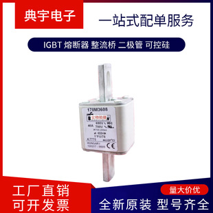 Fuse 170m3647 3648 3650 3655 3658 3659 3660 3661 Model