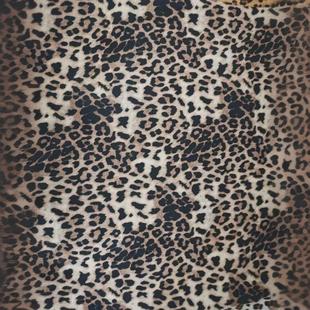 �q��ӡ�����yӡ�������᲼�Ϸ�������ϻ��yӡ�����R�y���c��ë�q