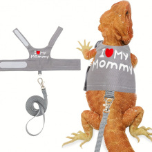 R 36906 Reptile night light harness ����ҹ��ǣ�����羳��
