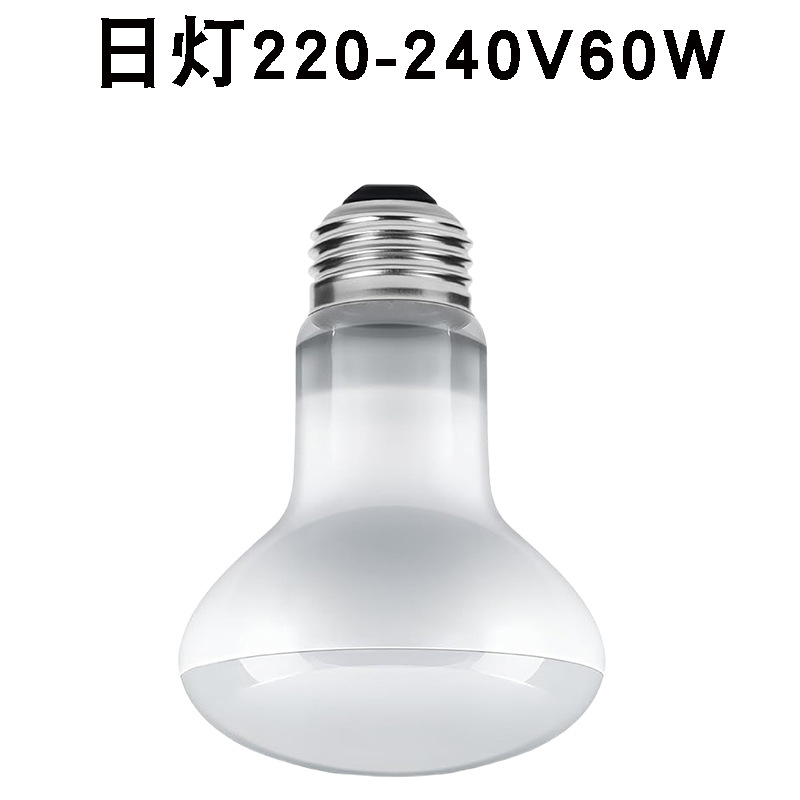 R63220v 주간 조명 60w