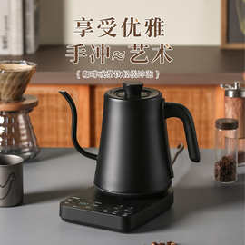 定制跨境智能电热水壶细长嘴鹅颈壶英文外贸110V220V手冲咖啡水壶