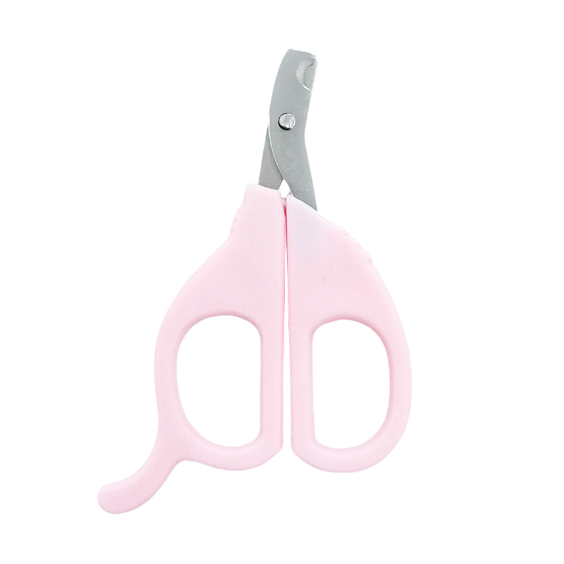 IMG_20251225_135952-1