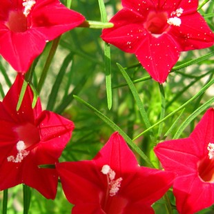 ���~�\�}���N������ǻ������̨�ļ����׻�����ͥԺ��������ֲ��