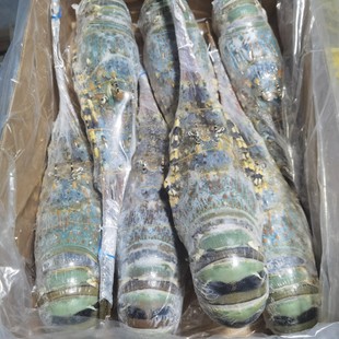 �����r�������rС��������Ƙ�ʳ�����l���r�ك����rˮ�a��؛