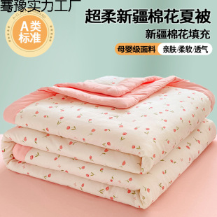 New 100% Cotton Summer Quilt for Two, Air-Conditioned Quilt for Summer Dormitory, Machine Washable Single Summer Cool Quilt, Thin Quilt