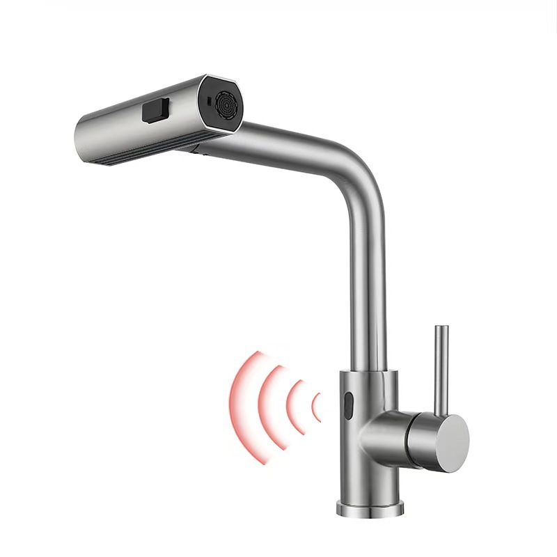 Rain Flying (Inductive)