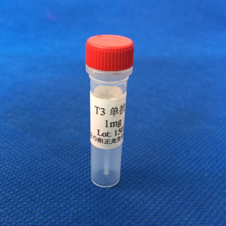 ��T3����¡����